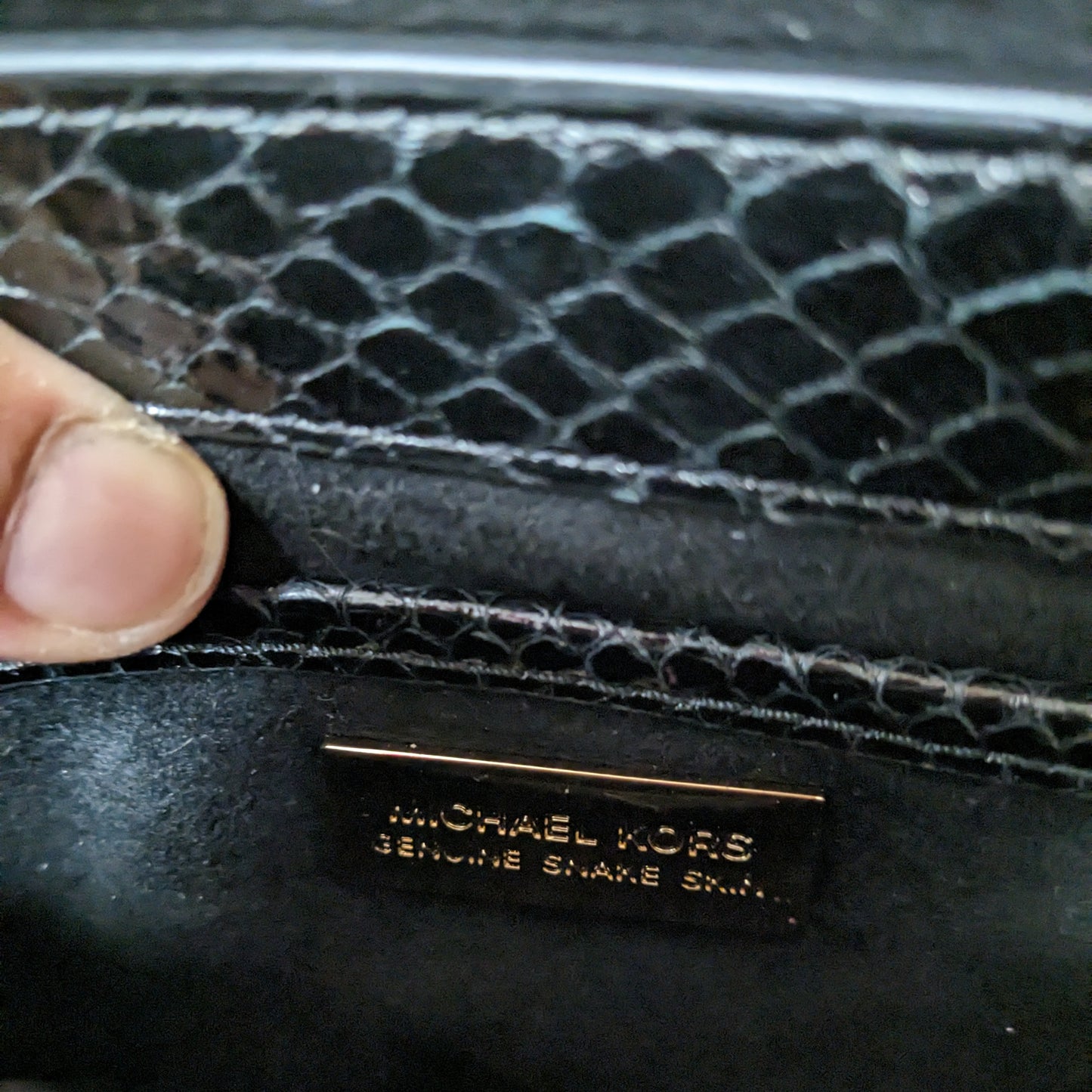 Michael Kors Jade Snakeskin Crossbody Bag