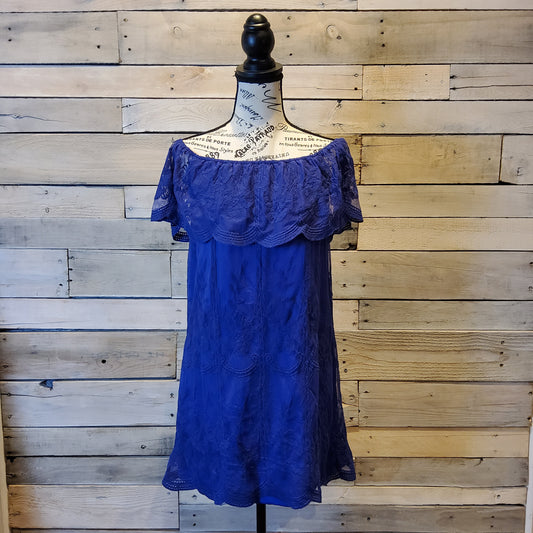 Altar'd State Indigo Lace Dress Sz S
